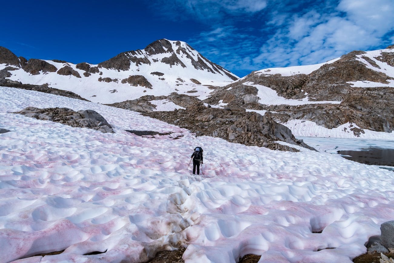 Sam Stych traversing the snow fields below Muir Pass in Kings Canyon National Park.