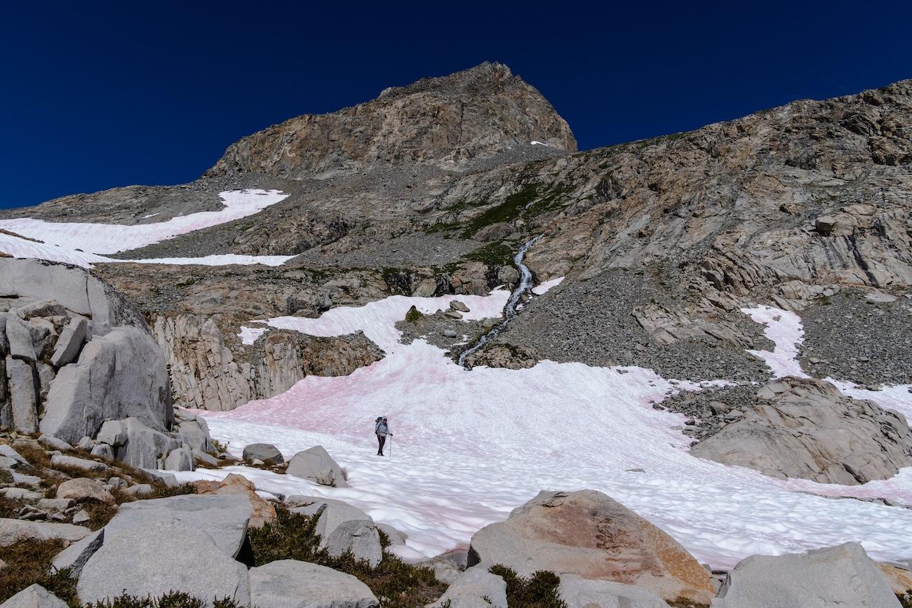 Sam Stych traversing the snow fields below Muir Pass in Kings Canyon National Park.