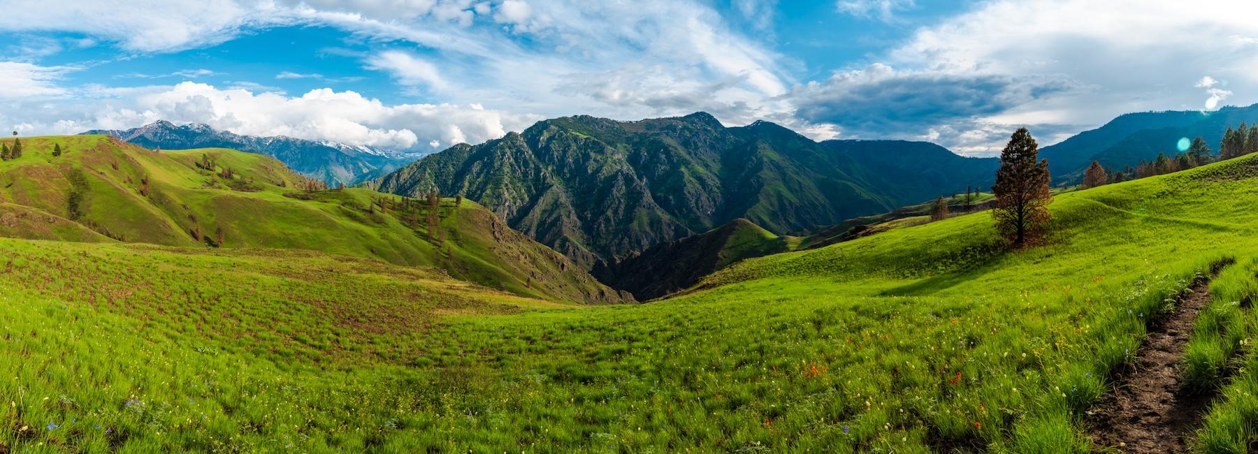 Panoramic views of Bear Mountain from the Bench Trail in Hells Canyon
