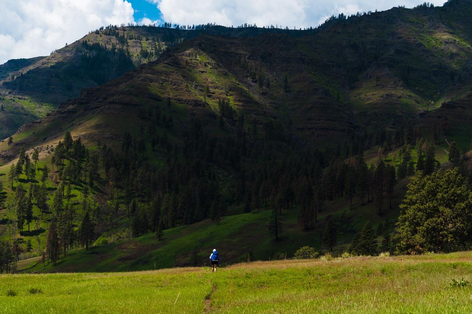 Sam Stych hiking through a meadow on the Bench Trail in Hells Canyon
