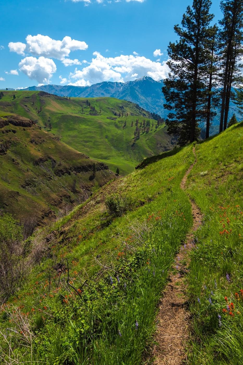 Steep slopes along the Bench Trail in Hells Canyon
