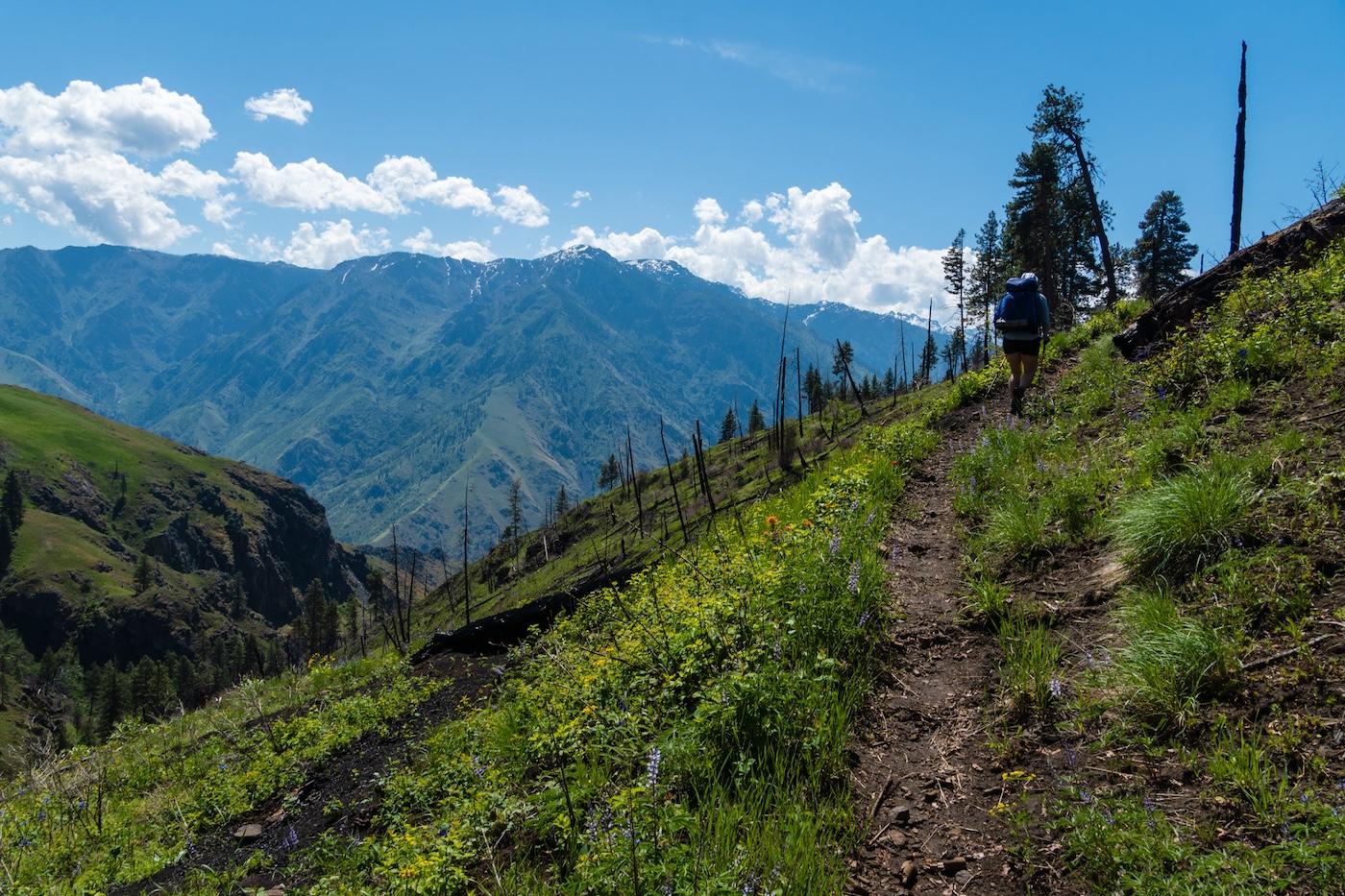 The Bench Trail in Hells Canyon Oregon