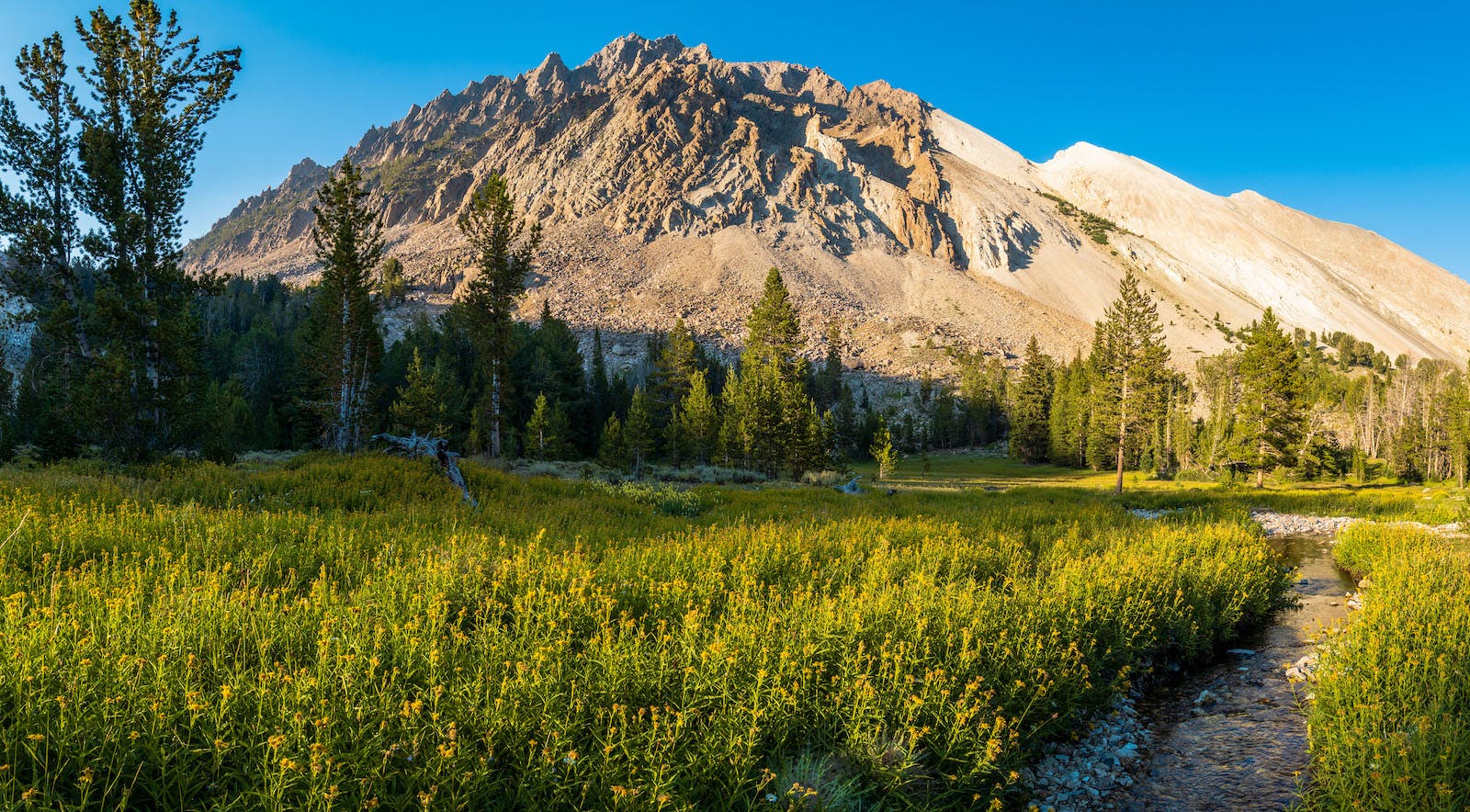 Castle Peak above an alpine meadow in Idaho's White Clouds Mountains
