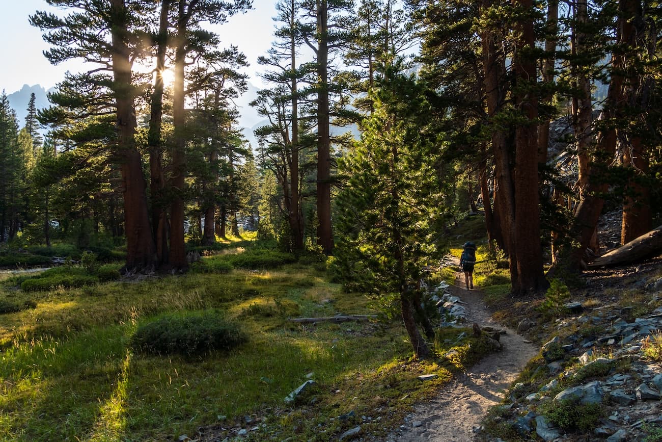 Sam Stych hiking through the woods towards Ediza Lake