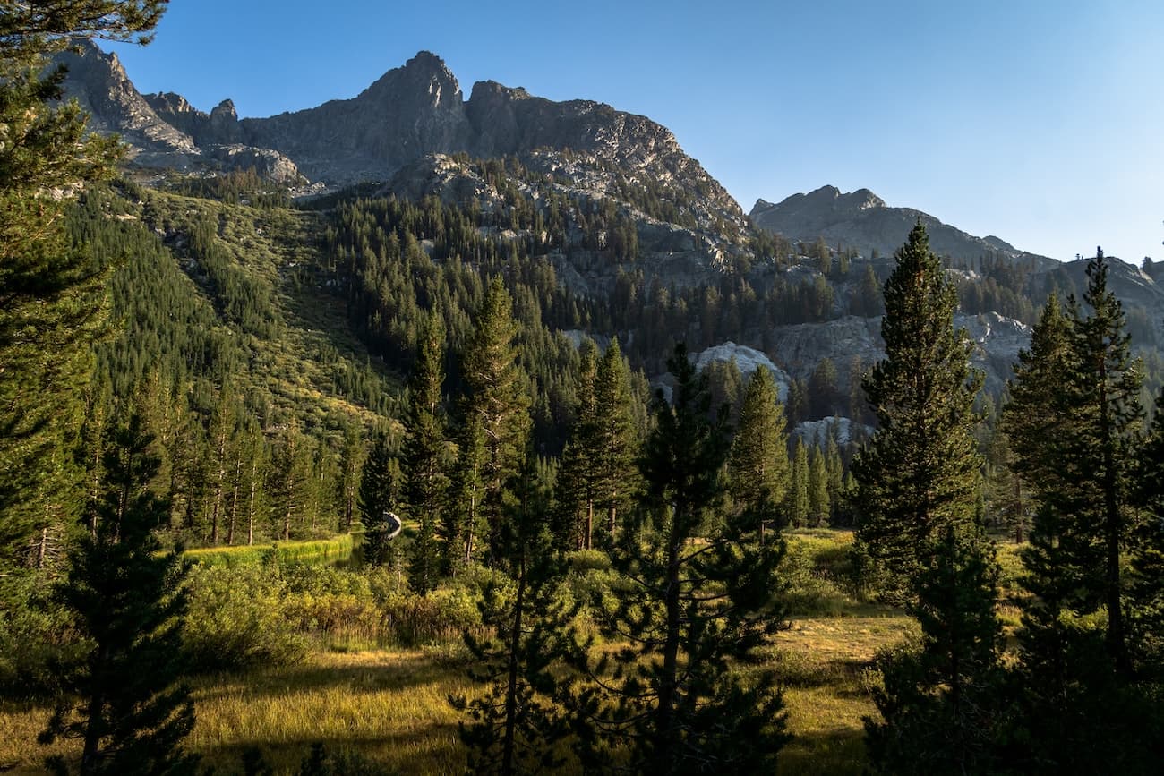A meadow in the Sierras