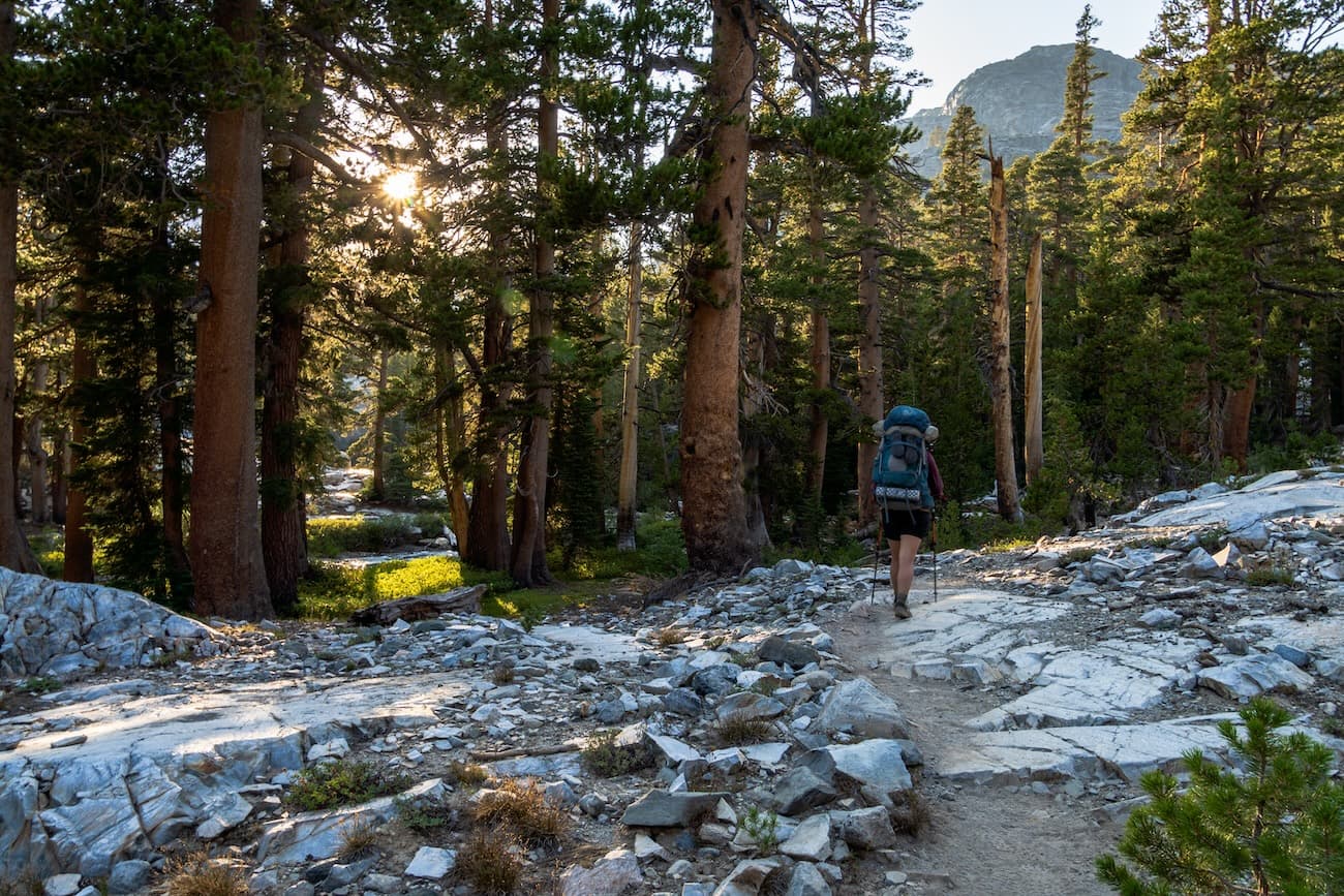 Sam hiking through the woods