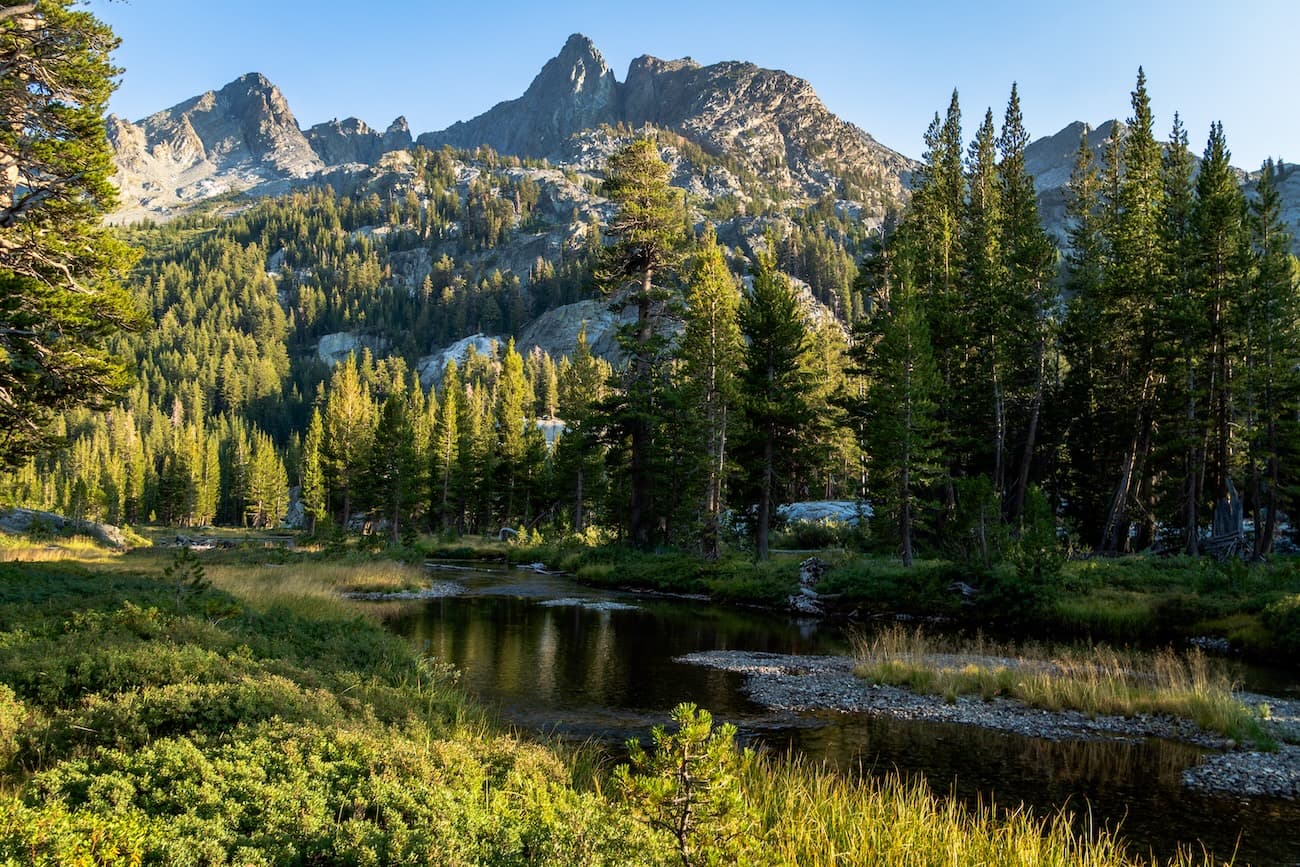 A creek in the Sierras
