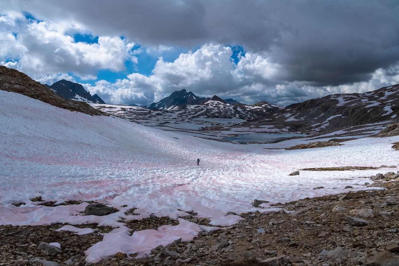 Sam Stych hiking over snow fields towards Muir Pass in Kings Canyon National Park.