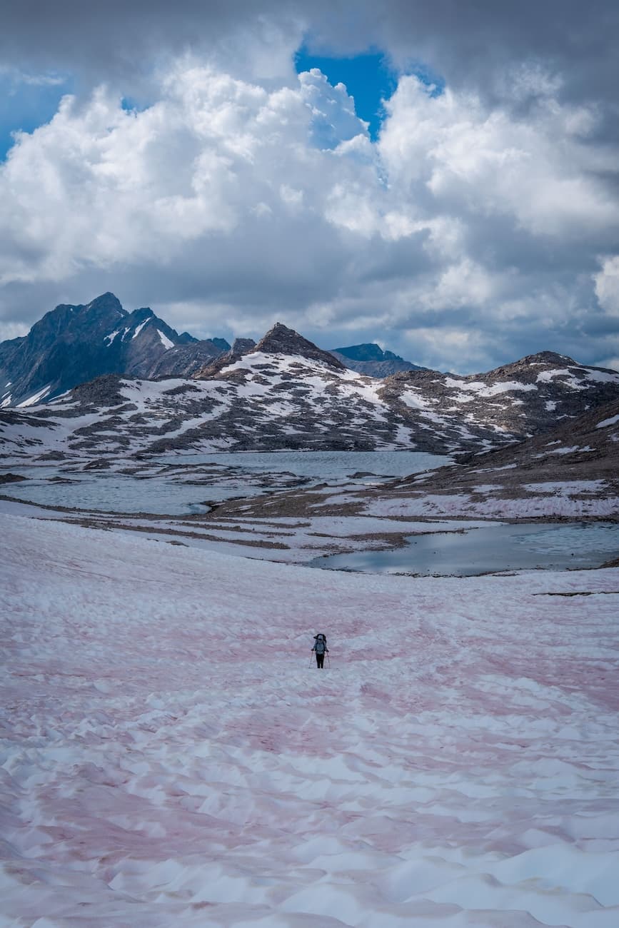 Sam Stych hiking over snow fields towards Muir Pass in Kings Canyon National Park.