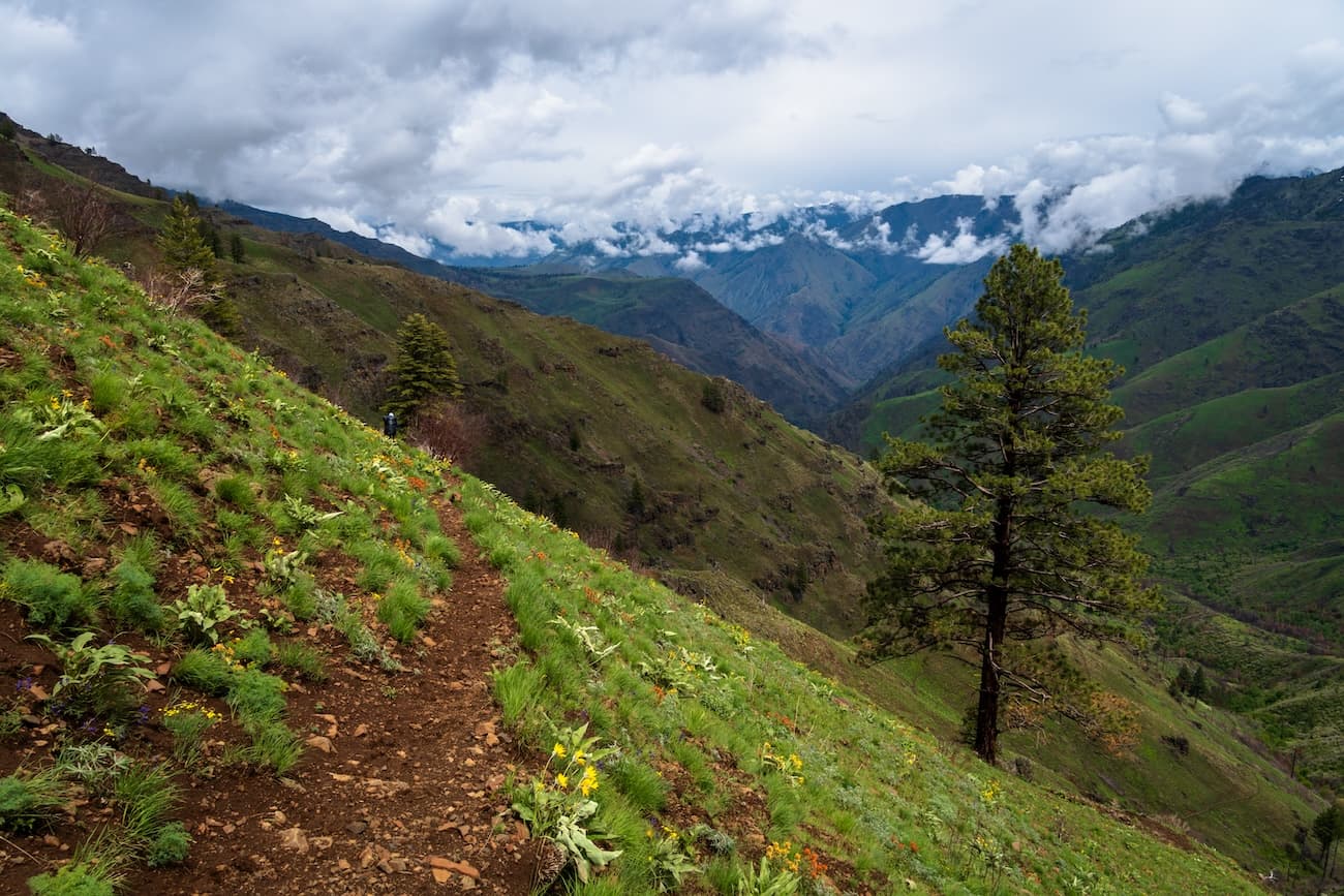 Trailside views on the Bench Trail in Hells Canyon