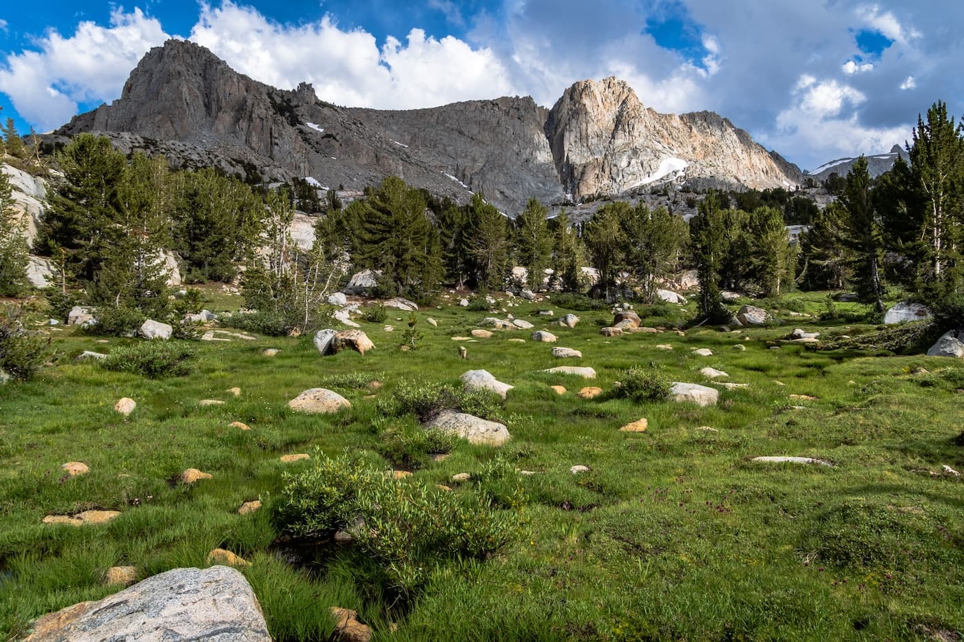 A grassy meadow in the Sabrina Basin