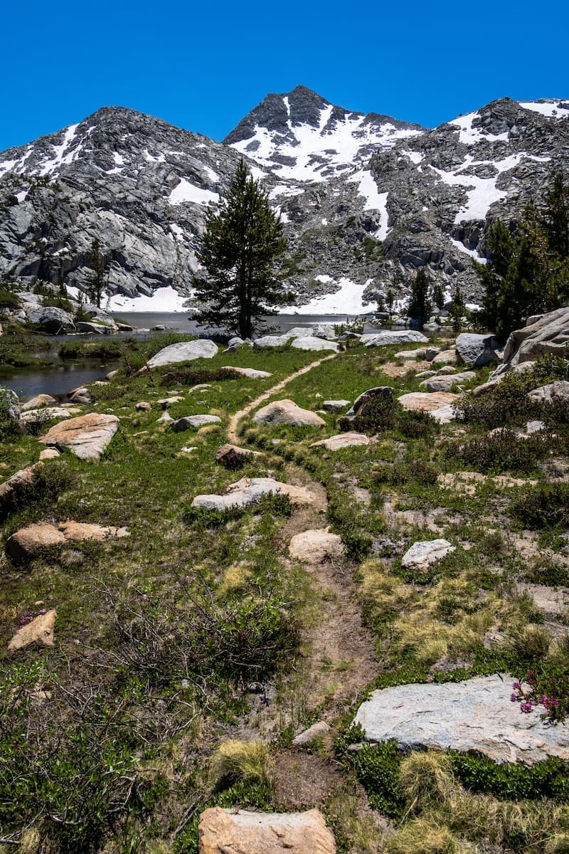 Golden Trout Lake in the Humphreys Basin