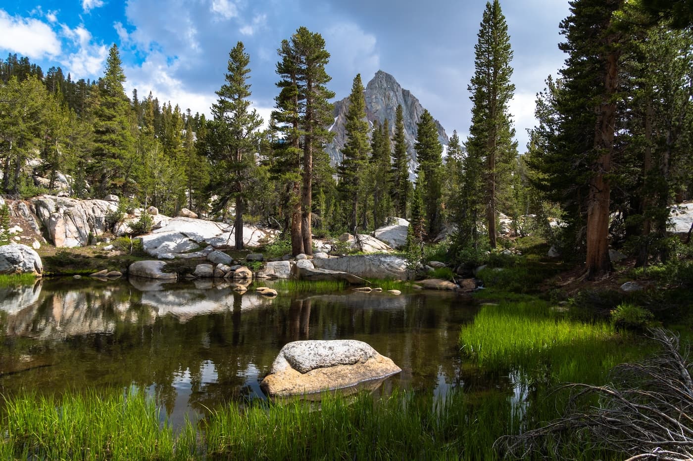 A marsh along a trail in the Sabrina Basin