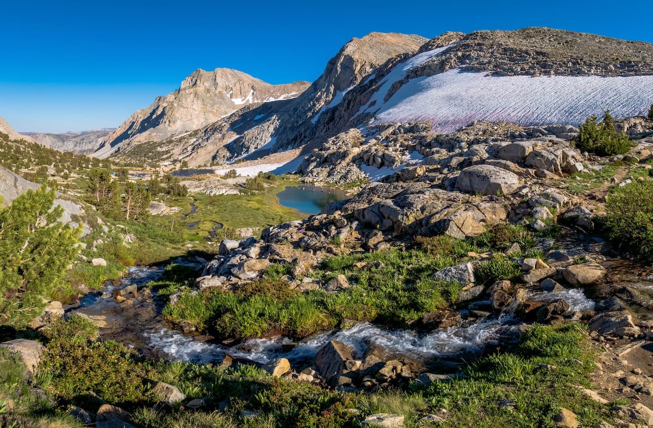 Trailside stream near Piute Pass