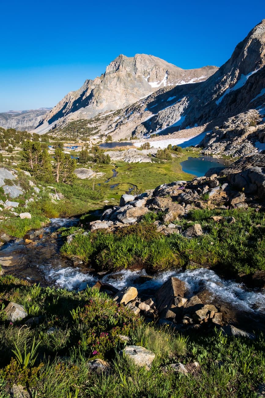Trailside stream near Piute Pass