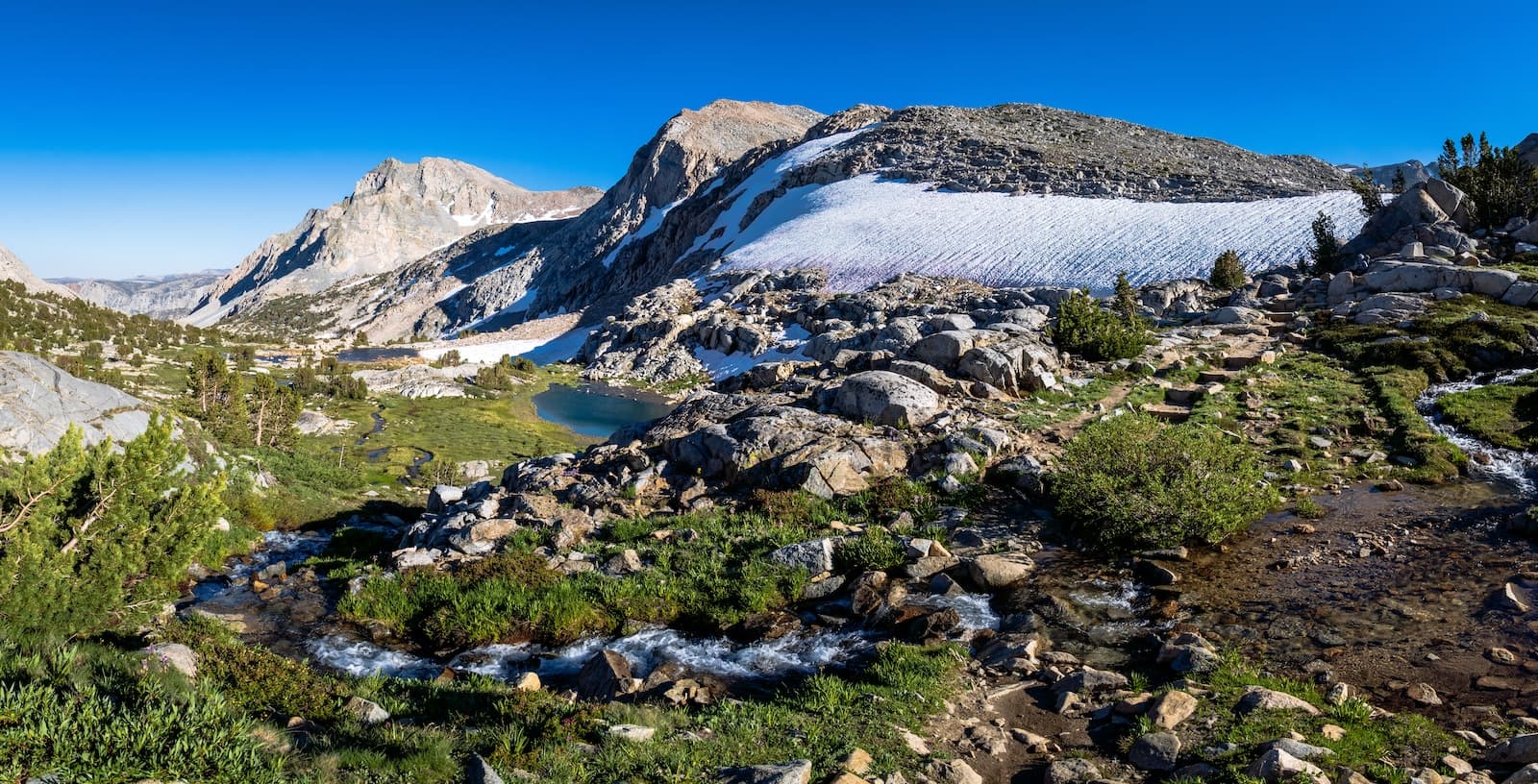 Trailside stream near Piute Pass
