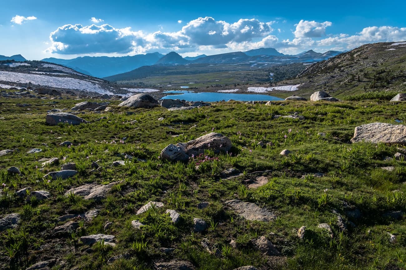 Green meadows of Humphreys Basin near Piute Pass