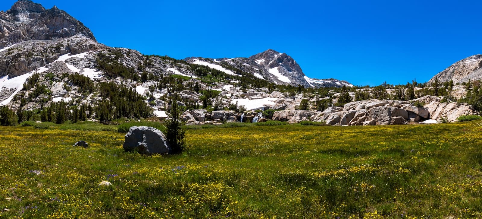 Alpine Meadows below Piute Pass
