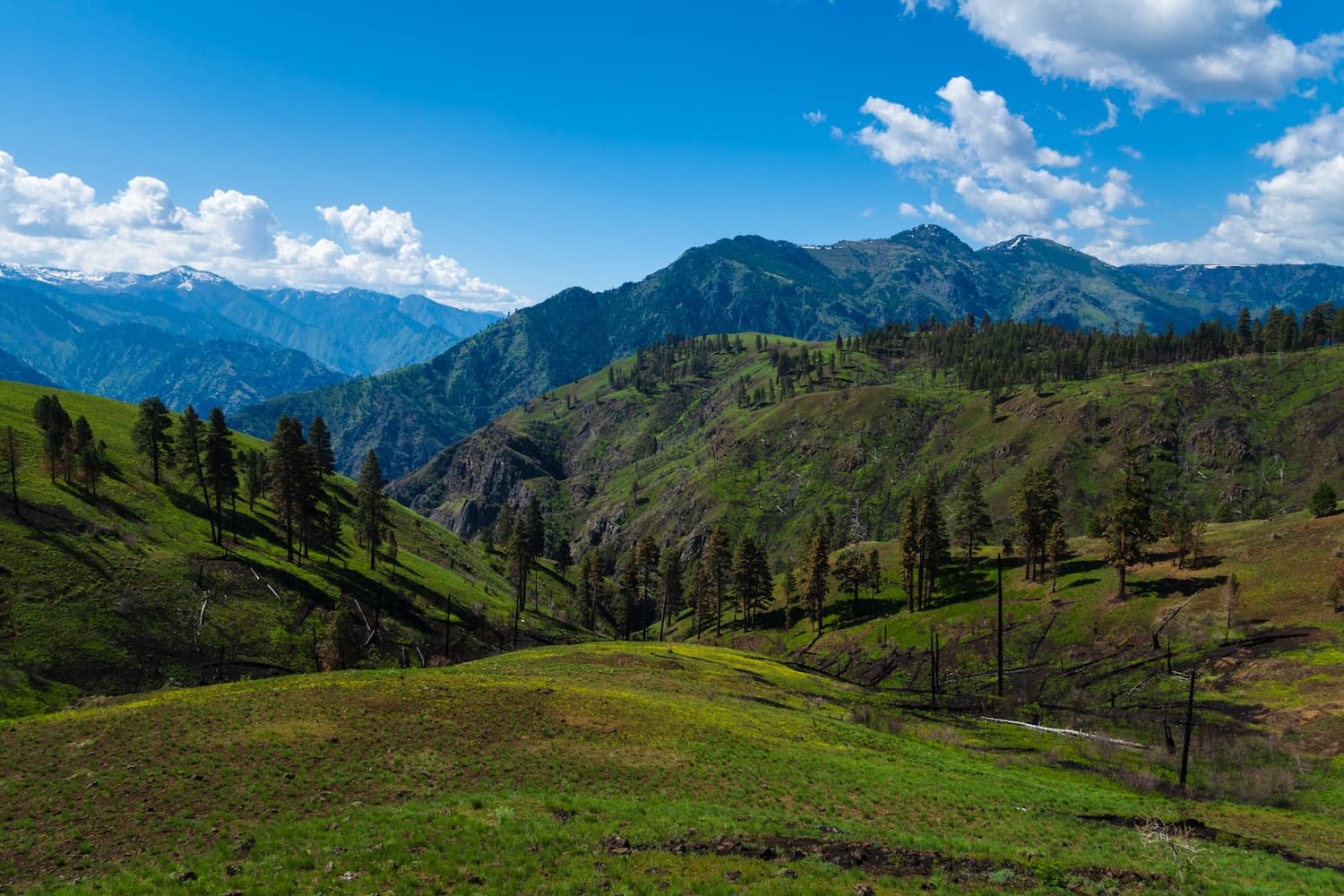 Bear Mountain in Hells Canyon Oregon
