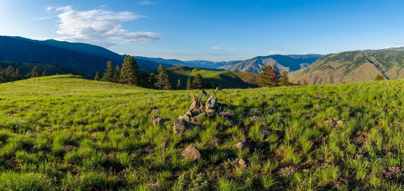 Sunny grassy slopes in Hells Canyon