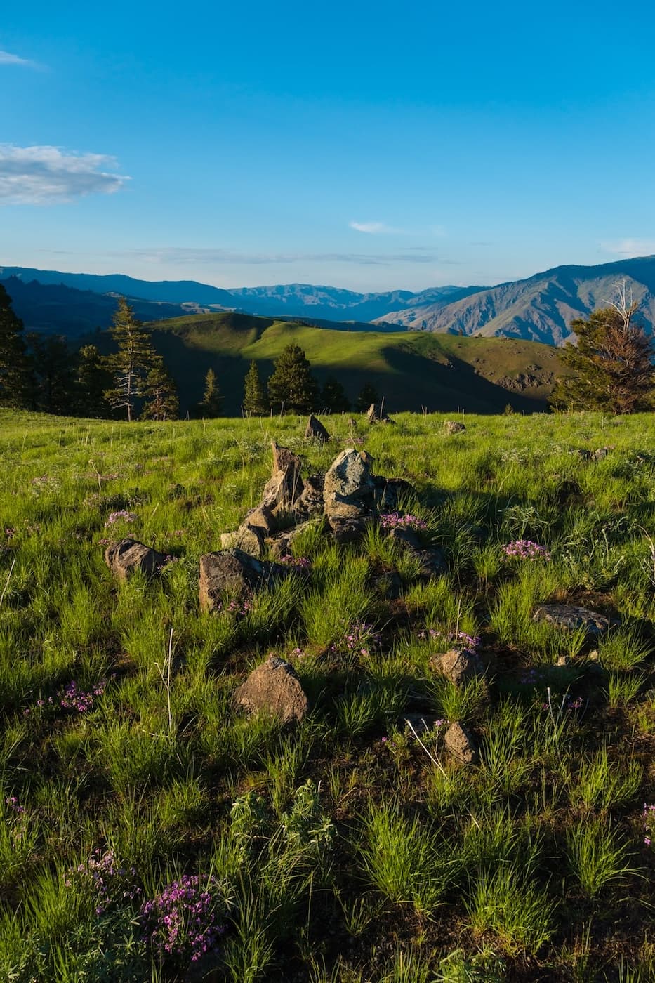 Sunny grassy slopes in Hells Canyon