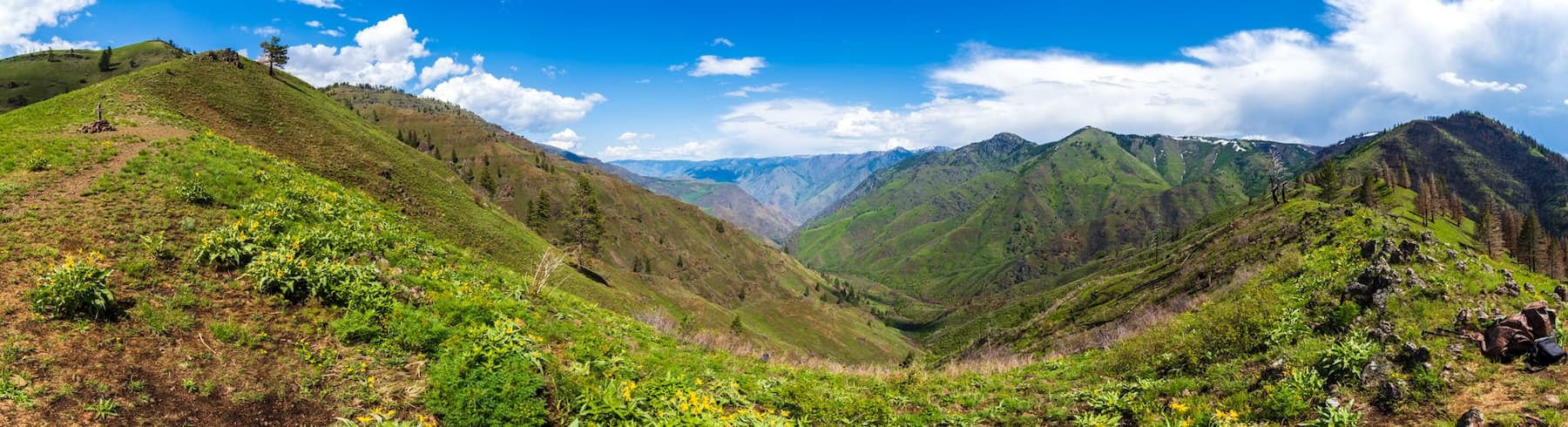 View from Freezeout Saddle in Hells Canyon