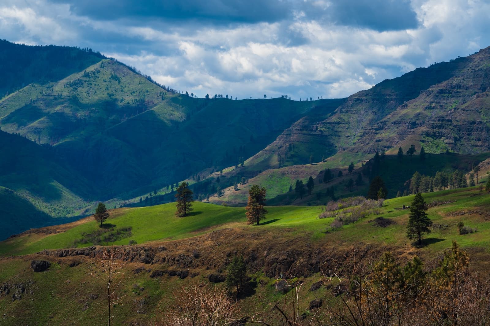 Freezeout Saddle from the Bench Trail in Hells Canyon Oregon. Photo by Brock Dallman.