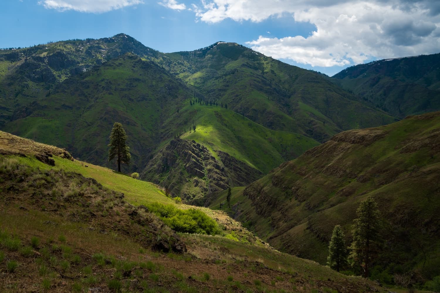 Dramatic lighting along the Bench Trail in Hells Canyon Oregon