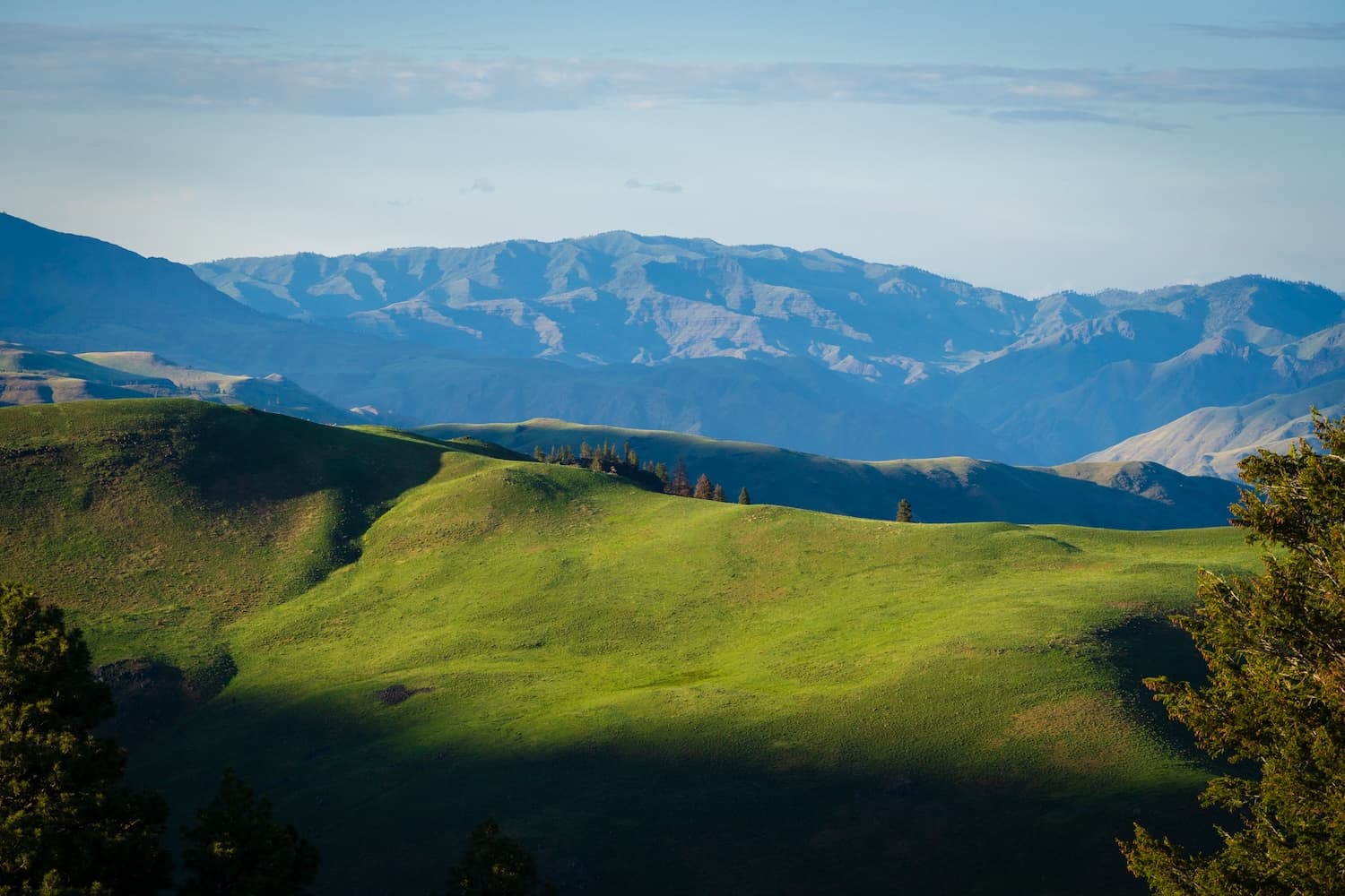 Green grassy slopes in Hells Canyon