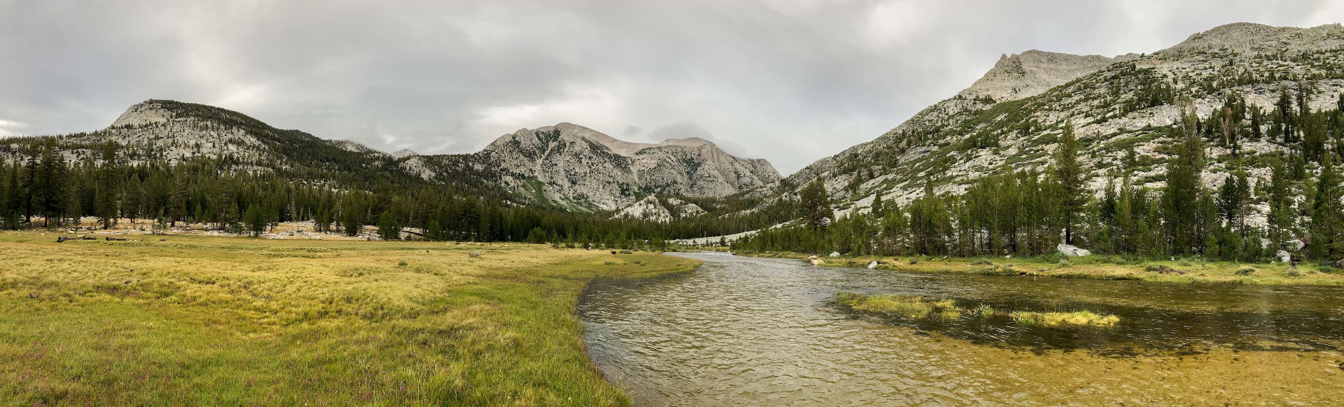 Meadow along the Lake Italy Trail in the Sierras