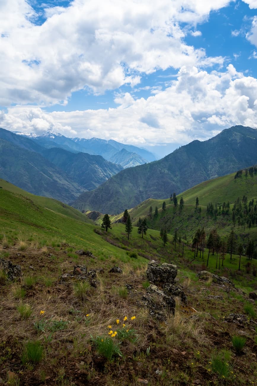 Green slopes of Hells Canyon