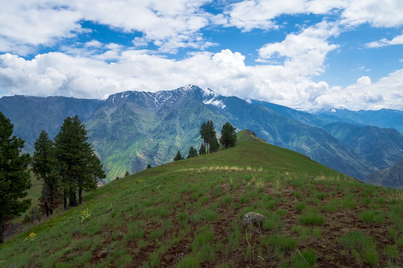A green ridge near Hat Point in Hells Canyon