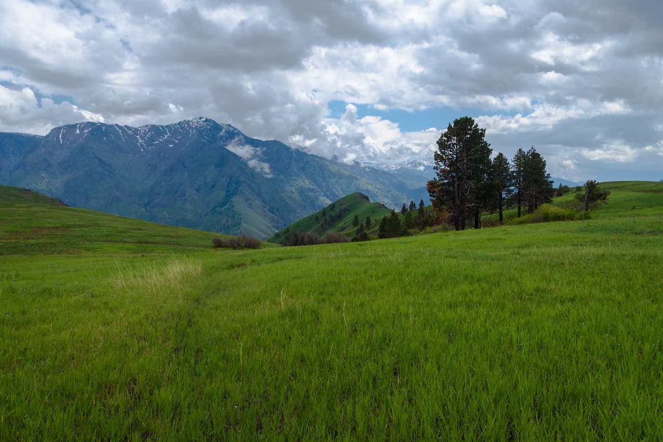 A green grassy bench near Hat Creek in Hells Canyon