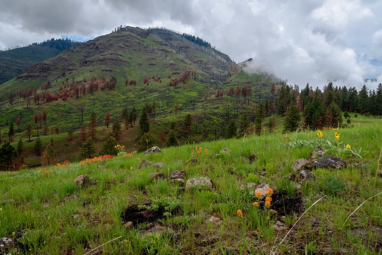 Hat point from the bench below in Hells Canyon