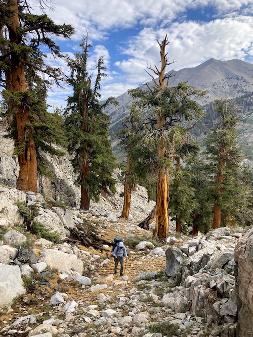 Sam Stych hiking offtrail towards the Sixty Lake Basin in Kings Canyon National Park