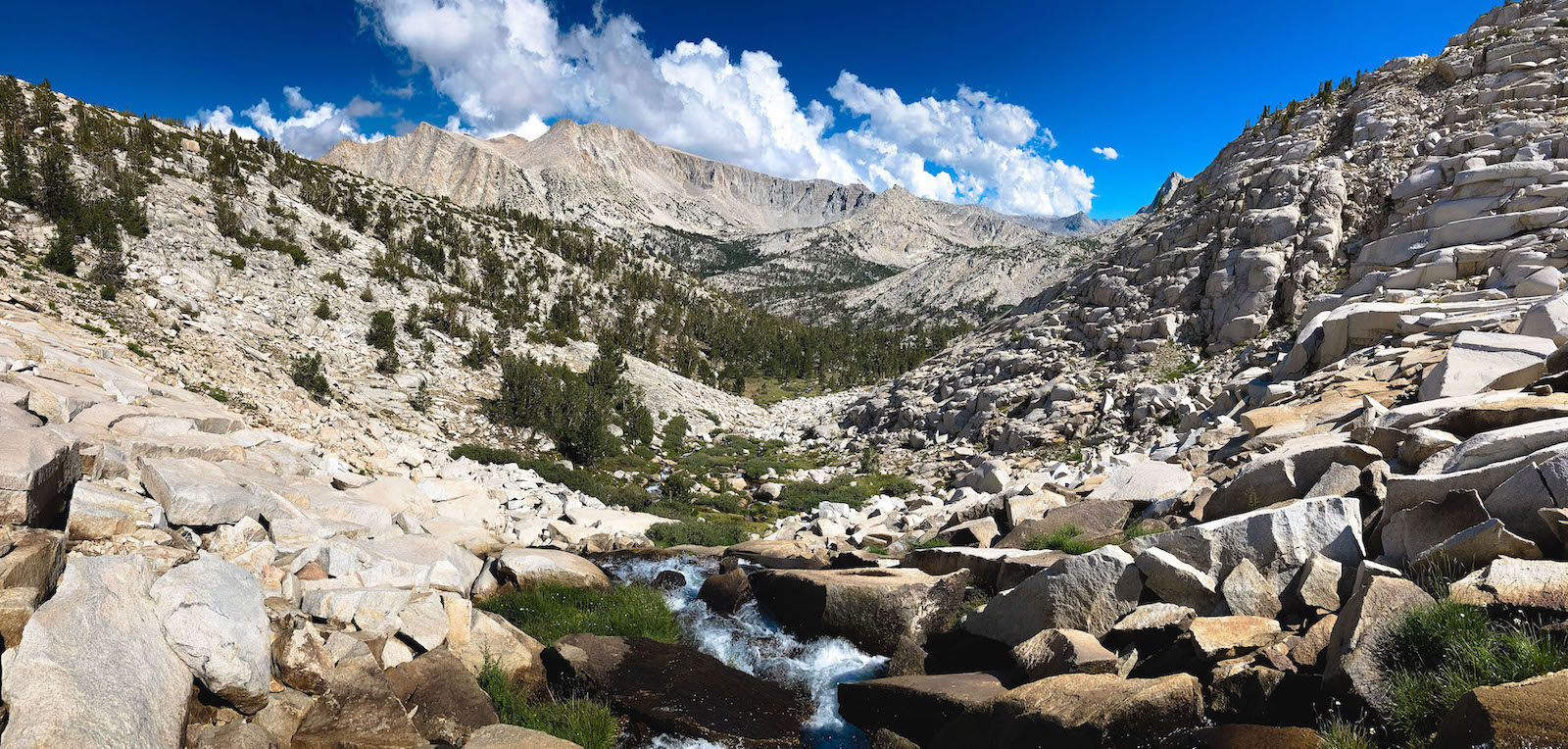 Alpine stream near Chalfant Lakes in the Eastern Sierras