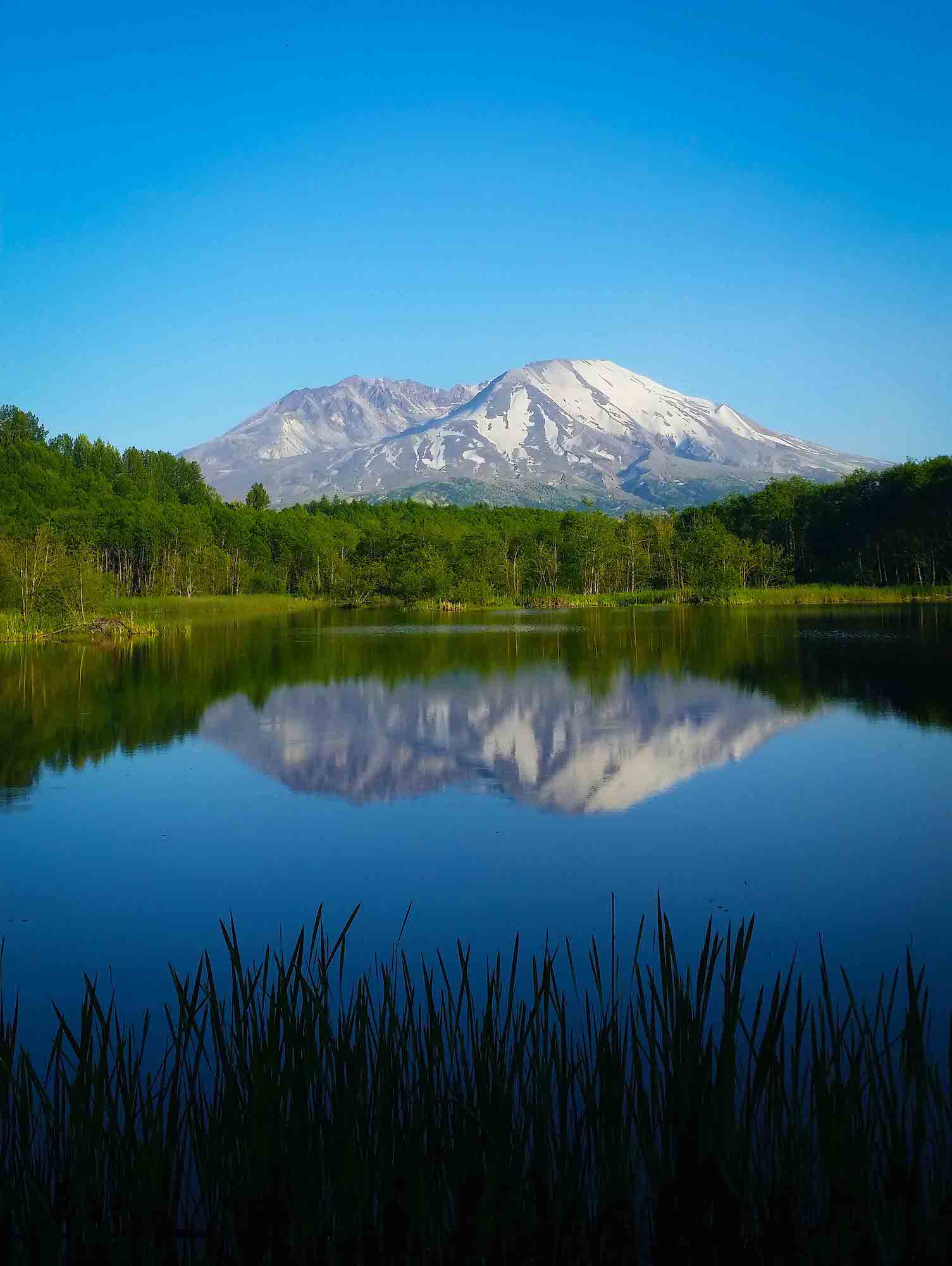 Mt. St. Helens over a pond