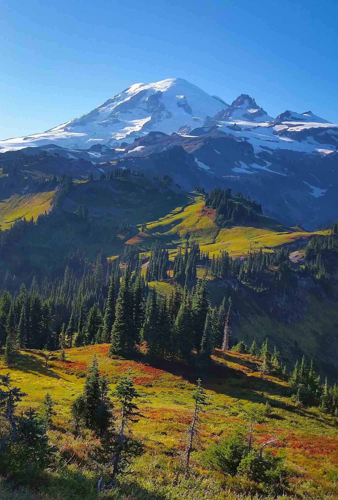 Mt Rainier in the Washington Cascades.  Photo by Brock Dallman